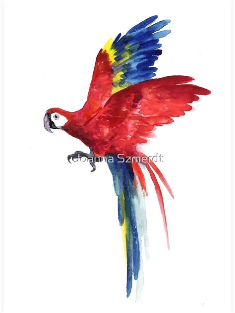 "Macaw Red Blue Parrot Watercolor Painting Tropical Bird " Poster by asiaszmerdt | Redbubble