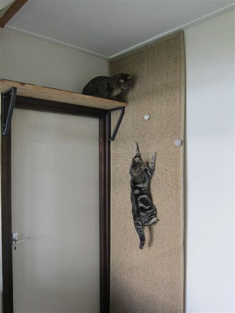 Climbing wall for cats - IKEA Hackers - IKEA Hackers