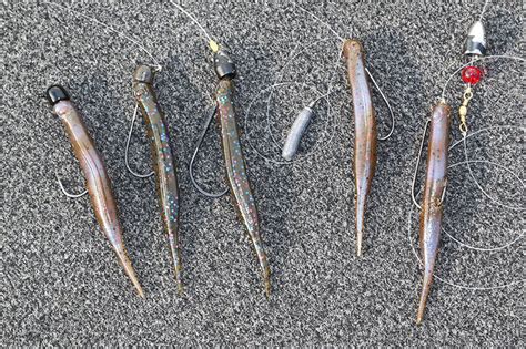 Simple Worm and Jig Variations for Big Bass - Florida Sportsman