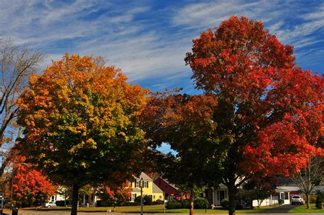 DSC_0036 | Fall Foliage Massachusetts 2013 | 6SN7 | Flickr