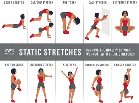 Why It's Important to Stretch Every Day – Valor Fitness