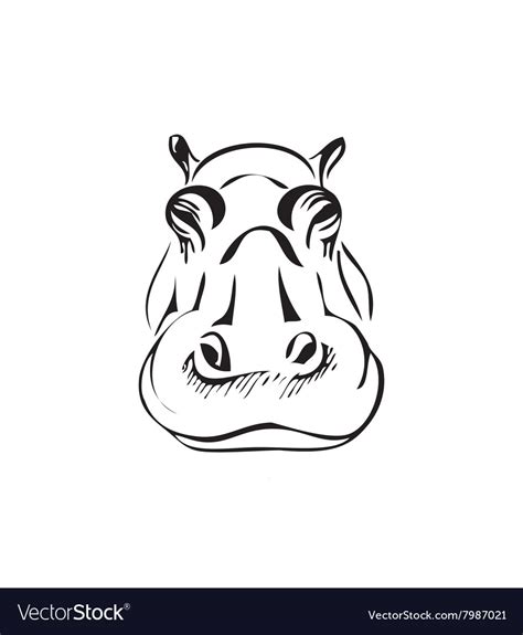 Hippopotamus Royalty Free Vector Image - VectorStock