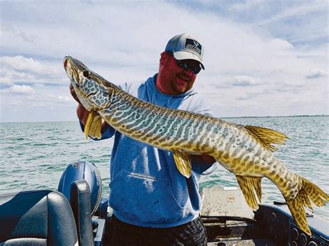 Muskie vs Pike: Identification of Scale, Tail, and Jaw - USAngler