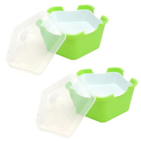 2 SETS PENTAGONAL Box Tray Sprouts Growing Kit Indoor Plants Container £16.99 - PicClick UK