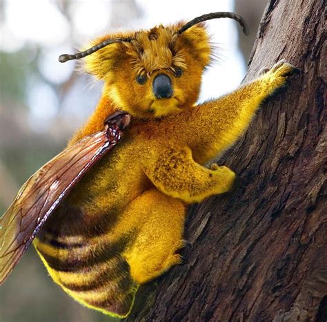 top scoring links : HybridAnimals #PhotoshopAnimals | Hybrid animal, Weird looking animals ...