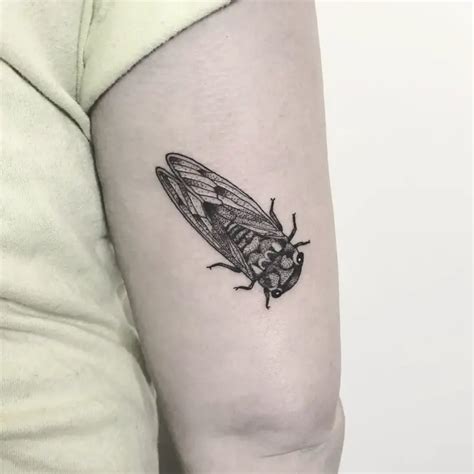 22 Cryptic Cicada Tattoo Designs and Where to Ink Them