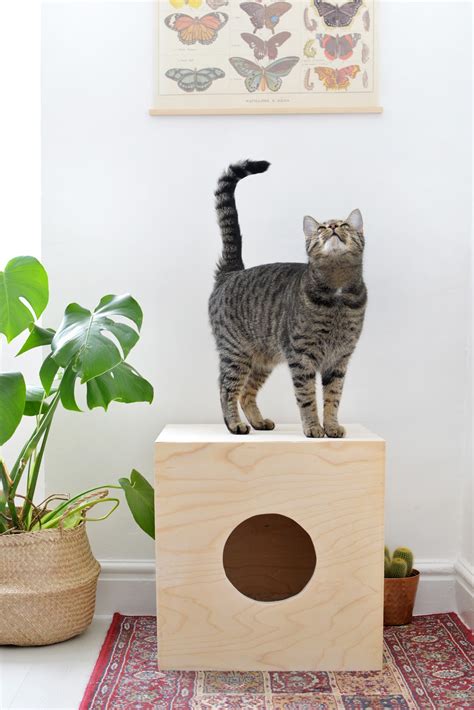 DIY cat house — Caroline Burke | Burkatron