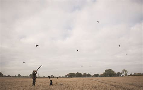 Clayshooting tips for the game season - Shooting UK