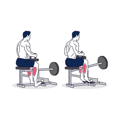 How To Do Seated Calf Raise Exercise at Simply Fitness