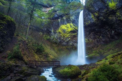 This Easy Hidden Waterfall Hike In Oregon Is Absolutely Beautiful | Oregon waterfalls, Waterfall ...