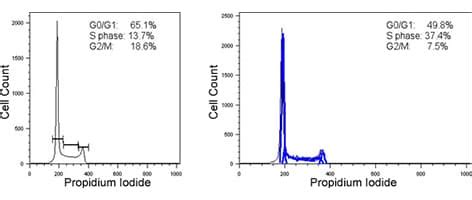 Cell cycle analysis with flow cytometry & propidium iodide | Abcam