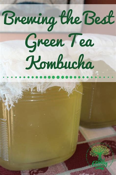 Brewing Your First Batch of Green Tea Kombucha | Family As We Go | Green tea kombucha, Kombucha ...