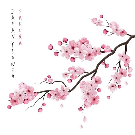 Free Vector | Realistic Sakura Branch