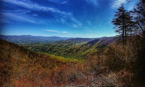 Looking for the best trails in Georgia? Be sure to add these 10 hikes to your to-do list. Pine ...