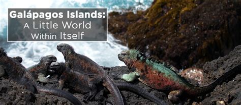 Island Conservation Galápagos Islands: A Little World Within Itself - Island Conservation