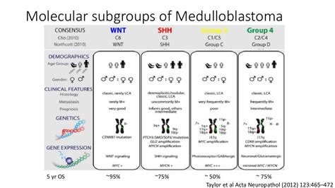 Medulloblastoma