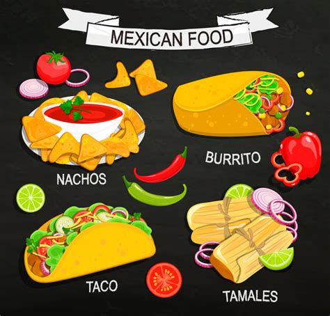 mexican food illustration vector free download