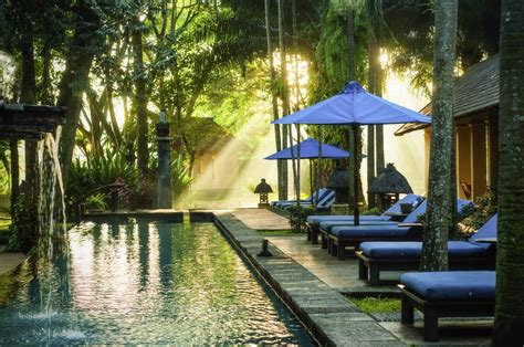 Novotel Bogor Golf Resort & Convention Center - Swimming Pool_Novotel ...