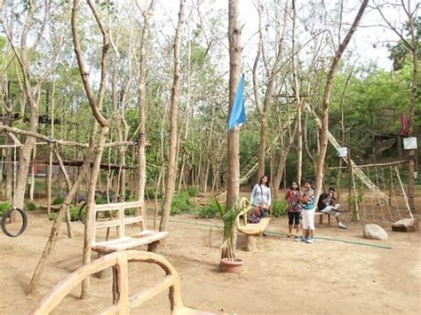 Adventures Activity - Picture of Orsang Camp, Vadodara - TripAdvisor