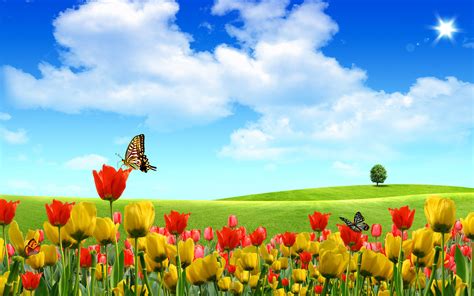 Beautiful Flower Landscape wallpaper | 1680x1050 | #26818