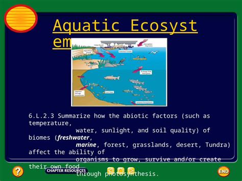 (PPT) Aquatic Ecosystems 6.L.2.3 Summarize how the abiotic factors (such as temperature, water ...