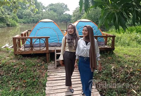 Asyiknya Camping di Hutan Wisata Punti Kayu, Foto 3 #1985206 - TribunNews.com