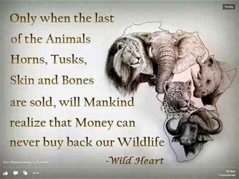 ! Save Animals, Animals And Pets, Strange Animals, Wild Animals, Skin And Bones, Stop Animal ...