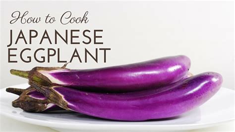 japanese eggplant Archives - The Culinary Exchange