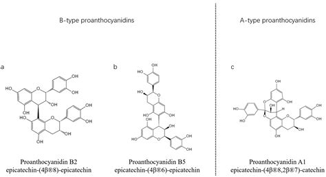 Antioxidants | Free Full-Text | Oligomeric Proanthocyanidins: An Updated Review of Their Natural ...