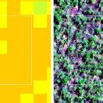 Left:Density map achieved by random forest model for map sheet SI54.... | Download Scientific ...