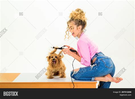 Animal Grooming. Pet Image & Photo (Free Trial) | Bigstock