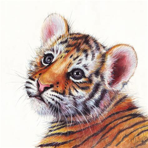 Tiger Cub Watercolor Painting Painting by Olga Shvartsur