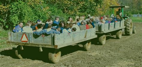 hayrides - Windmill Farm Market