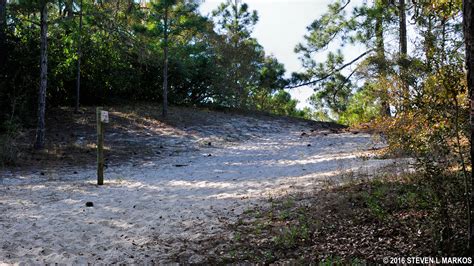 Cumberland Island National Seashore | DUCK HOUSE TRAIL TO THE BEACH