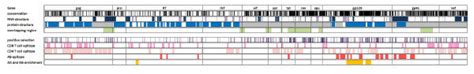 Map of the HIV-1 genome. For clarity, the genome is represented as ...