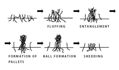 Fabric Pilling, Pilling Fabric, Pilling On Clothes, The Complete Guide