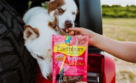 Low Calorie Dog Treats to Help with Weight Loss | Earthborn Holistic Pet Food