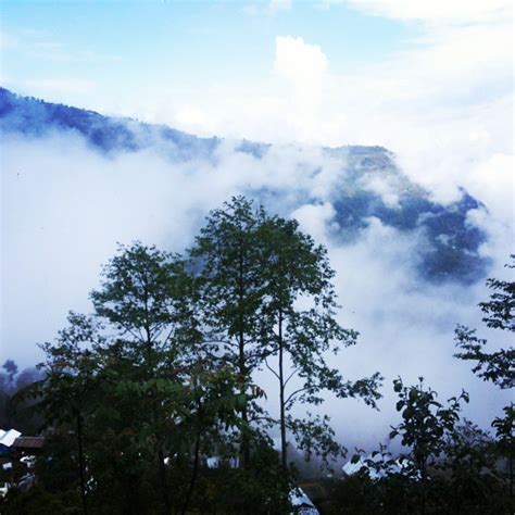 Neora CallingUnexplored Neora Valley National Park Kalimpong Darjeeling - Tripoto