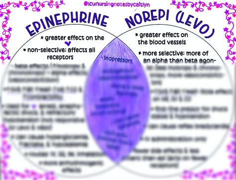 Epinephrine Vs. Norepi levophed - Etsy