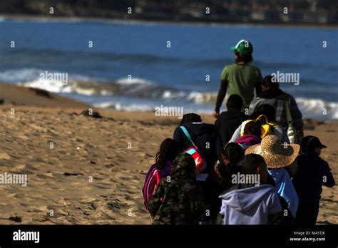 Second graders from Santa Rita Elementary School follow in the Stock Photo - Alamy