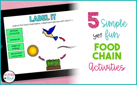 5 Simple Yet Fun Food Chains Activities - Glitter in Third