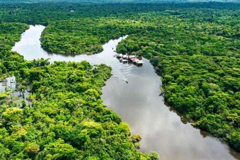 Selva Peruana: Los mejores destinos turisticos para visitar