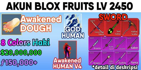 [BLOX FRUITS] Account Blox Fruits - Awaken Race HUMAN V4 (Awakened Race ...