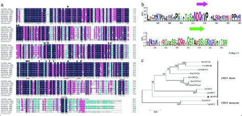 CRY2 protein sequence analysis. a Amino-acid sequence alignment of the ...