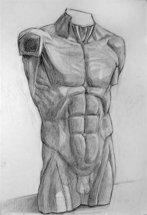 ArtStation - Cast Torso Study