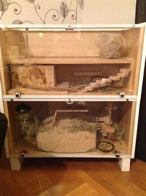 Our homemade cage for the gerbils | Gerbil, Gerbil cages, Hamster