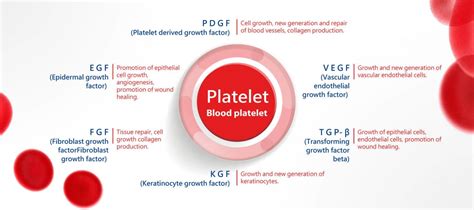 Platelet - Spirit Scientific