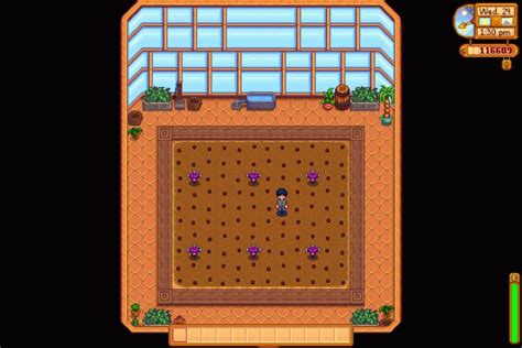 Best Crops for the Greenhouse in Stardew Valley | High Ground Gaming