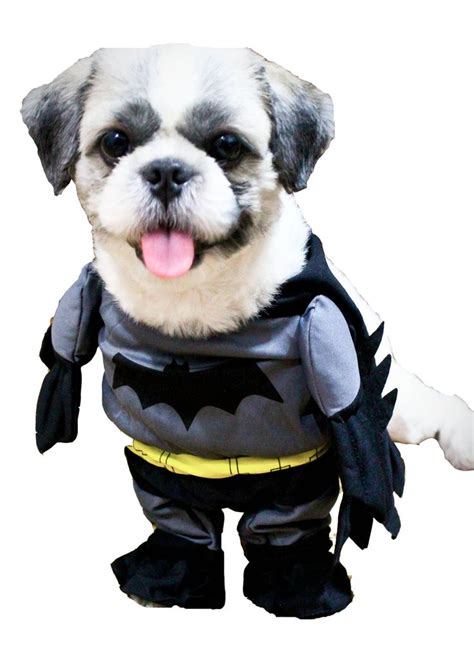 batman costume dog - Google Search | Pet costumes, Batman dog costume, Dog coats