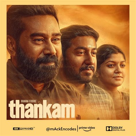 Download Thankam (2023) (2160p AMZN WEBRip x265 HEVC 10bit EAC3 5.1 Malayalam - mAck) Torrent ...